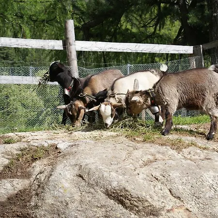 Lodge Al Vadret Swisslodge *