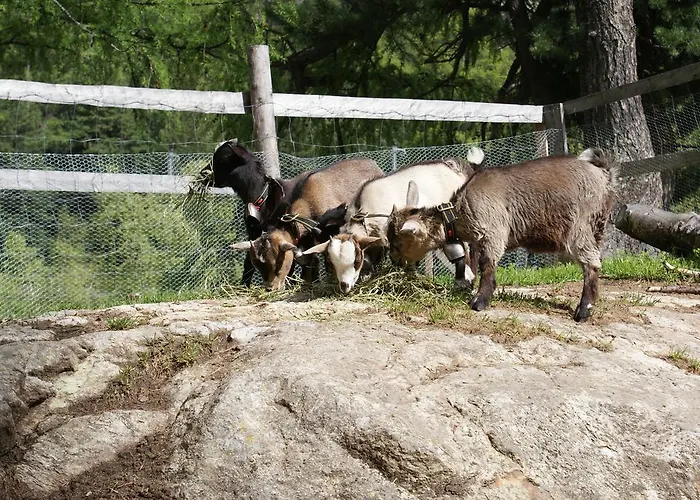 Jaktstuga Al Vadret Swisslodge *